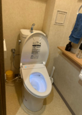 大阪市城東区鴫野西、マンションのトイレ画像です
