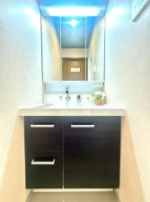 大阪市東成区大今里、中古一戸建ての洗面画像です