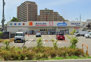 大阪市都島区毛馬町、中古一戸建てのドラッグストア画像です