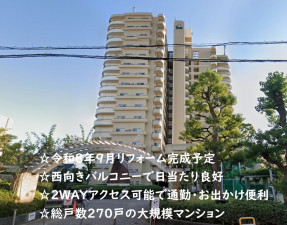 大阪市鶴見区今津南、マンションの外観画像です