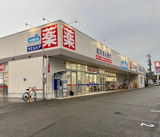 大阪市旭区清水、中古一戸建てのドラッグストア画像です