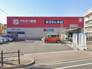 大阪市生野区中川西、中古一戸建てのドラッグストア画像です