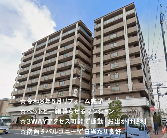 大阪市東成区深江南、マンションの外観画像です