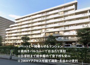 大阪市城東区鴫野西、マンションの外観画像です