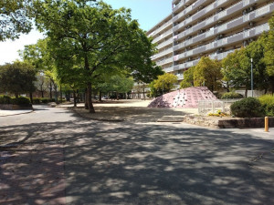 大阪市城東区鴫野西、マンションの公園画像です