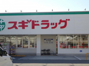 大阪市生野区巽中、中古一戸建てのドラッグストア画像です
