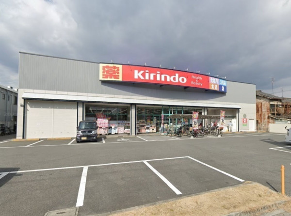 大阪市生野区巽中、中古一戸建てのドラッグストア画像です
