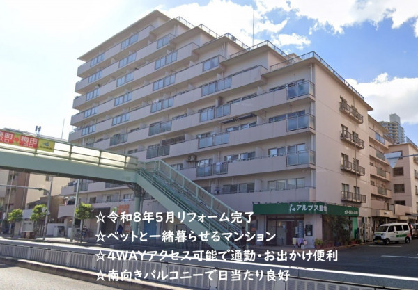 大阪市城東区中央、マンションの外観画像です