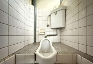 大阪市生野区勝山南、中古一戸建てのトイレ画像です