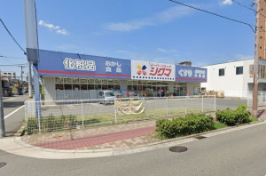 大阪市東成区大今里南、新築一戸建てのドラッグストア画像です