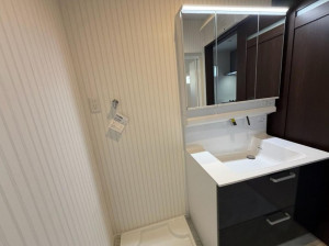 大阪市東成区大今里南、新築一戸建ての洗面画像です
