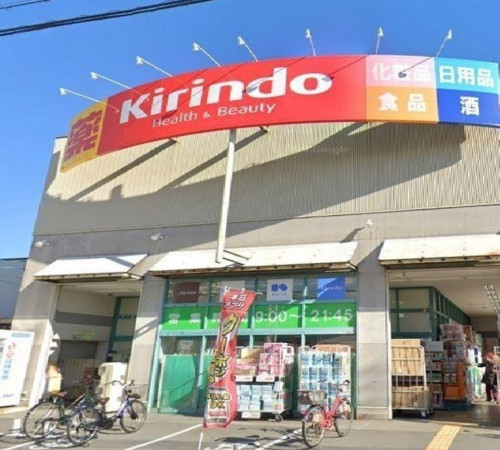 大阪市鶴見区諸口、中古一戸建てのドラッグストア画像です
