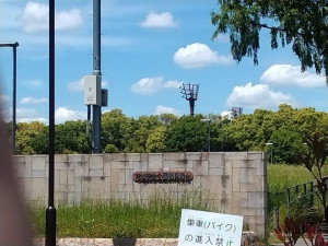 大阪市鶴見区茨田大宮、マンションの公園画像です
