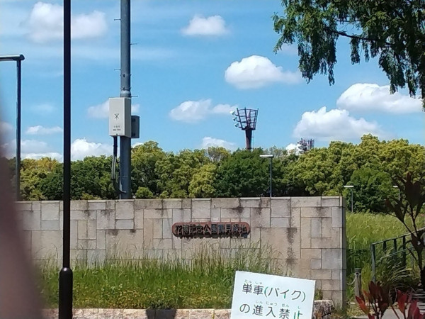 大阪市鶴見区茨田大宮、マンションの公園画像です