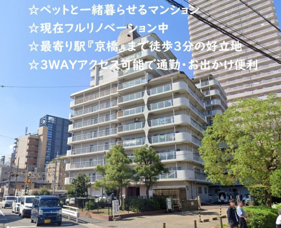 大阪市城東区新喜多、マンションの外観画像です