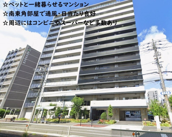 大阪市東成区中本、マンションの外観画像です