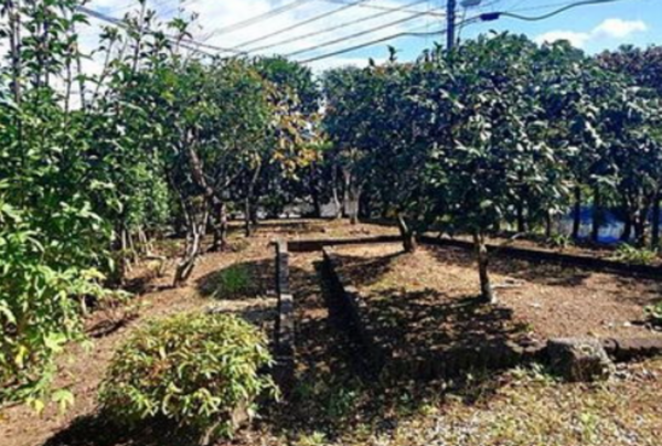 宮崎市生目台東、中古一戸建ての画像です