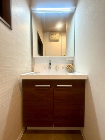大阪市東成区東今里、中古一戸建ての洗面画像です