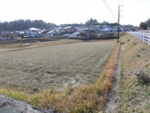 宮崎市佐土原町上田島、土地の画像です