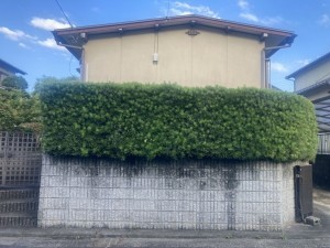 津市、土地の画像です