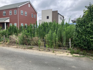 松阪市曲町、土地の画像です