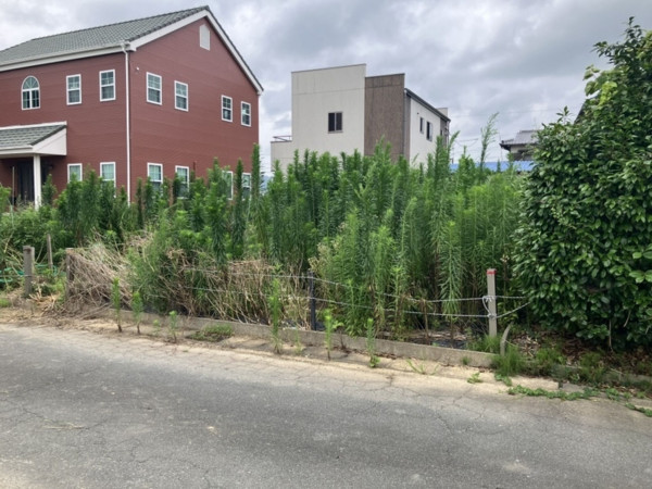 松阪市曲町、土地の画像です