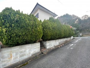 宗像市ひかりヶ丘、中古一戸建ての画像です