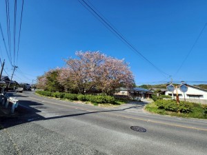 古賀市筵内、土地の画像です