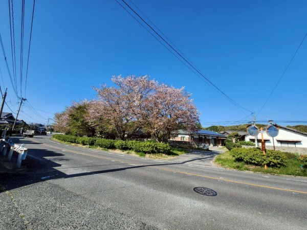 古賀市筵内、土地の画像です