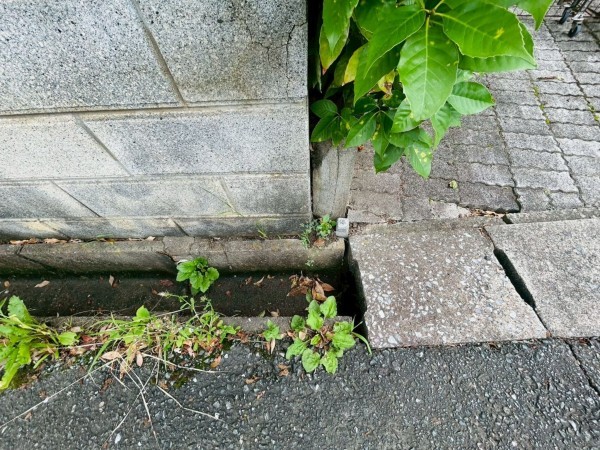 宗像市徳重、中古一戸建ての画像です