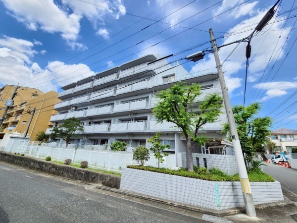 福岡市南区、マンションの画像です