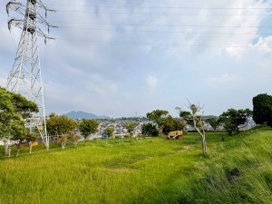 福岡市東区美和台、新築一戸建ての公園画像です
