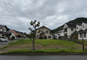 糟屋郡新宮町花立花、土地の画像です