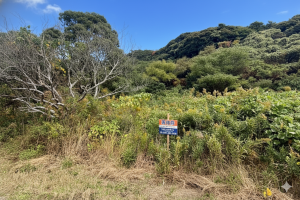 宗像市用山、土地の画像です