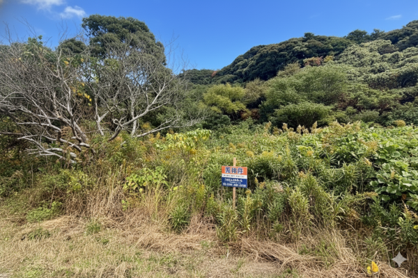 宗像市用山、土地の画像です
