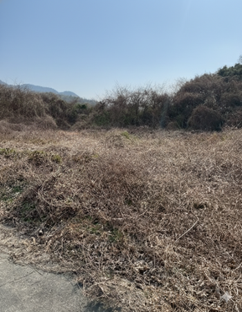 宗像市村山田、土地の画像です