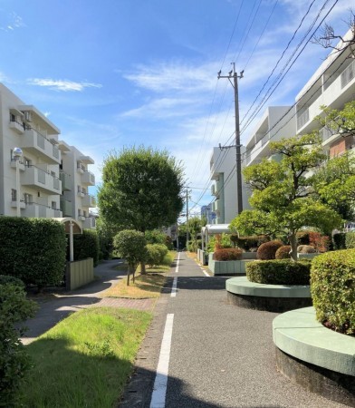 福岡市東区御島崎、マンションの画像です
