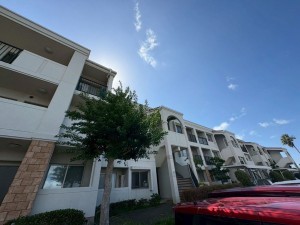 糟屋郡新宮町美咲、マンションの画像です