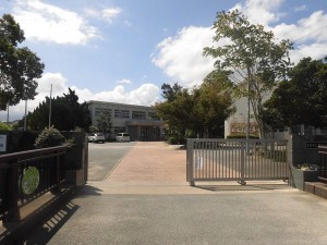 糸島市志摩松隈、土地の周辺画像画像です