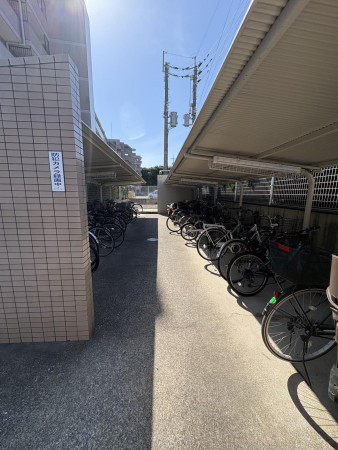 福岡市東区千早、マンションの画像です