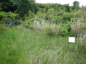 いわき市内郷宮町、土地の間取り画像です