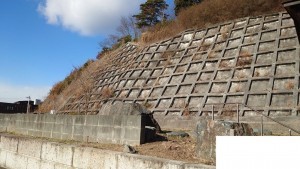 いわき市常磐松が台、土地の画像です