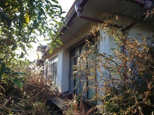 いわき市常磐下湯長谷町、土地の画像です