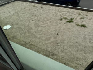 いわき市久之浜町久之浜、新築一戸建ての画像です