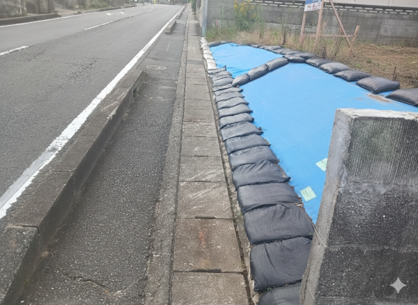 いわき市内郷高坂町、土地の画像です