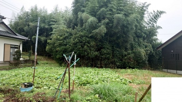 いわき市内郷高野町、土地の画像です