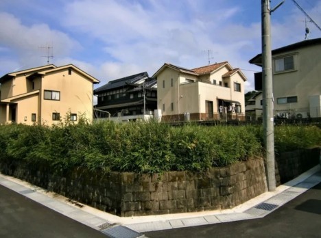 前面道路を含む現地写真