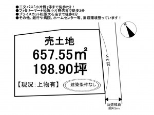 松阪市小片野町、土地の間取り画像です