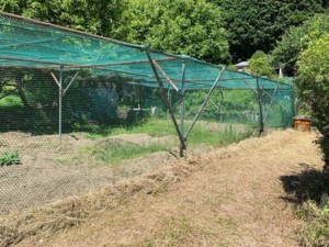 松阪市飯高町桑原、中古一戸建ての外観画像です