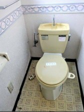 松阪市嬉野津屋城町、中古一戸建てのトイレ画像です